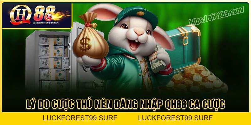 Đăng Nhập QH88: Hướng dẫn truy cập tài khoản nhanh chóng - LUCKFOREST99.SURF
