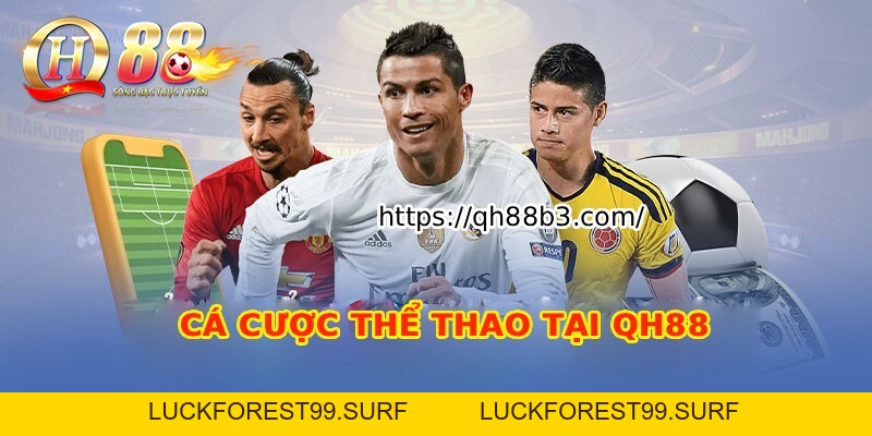 QH88 Pub - Trang Chủ Đăng Ký / Đăng Nhập QH88.COM Chính Thức - LUCKFOREST99.SURF