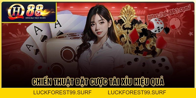 Cách đánh tài xỉu: Bí quyết tăng tỷ lệ thắng cao tại QH88 - LUCKFOREST99.SURF