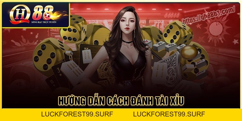 Cách đánh tài xỉu: Bí quyết tăng tỷ lệ thắng cao tại QH88 - LUCKFOREST99.SURF