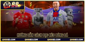 Cẩm Nang Cá Cược: Bí Quyết Chơi Cá Cược An Toàn Hiệu Quả - LUCKFOREST99.SURF