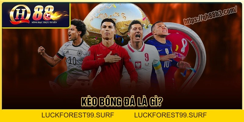 Cách đọc kèo bóng đá dấp dẫn chi tiết tại QH88 - LUCKFOREST99.SURF