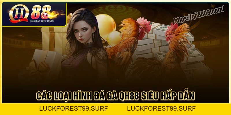 Đá gà QH88 - Sân chơi đá gà trực tuyến uy tín an toàn - LUCKFOREST99.SURF