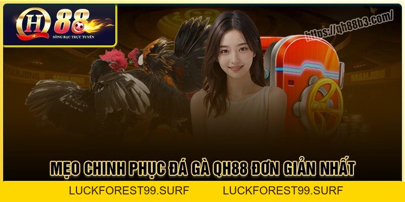 Đá gà QH88 - Sân chơi đá gà trực tuyến uy tín an toàn - LUCKFOREST99.SURF