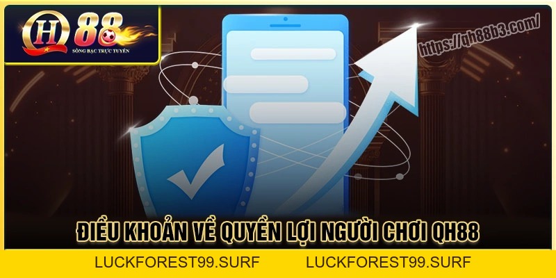 Điều Khoản Và Điều Kiện QH88 Khi Người Chơi Cá Cược - LUCKFOREST99.SURF