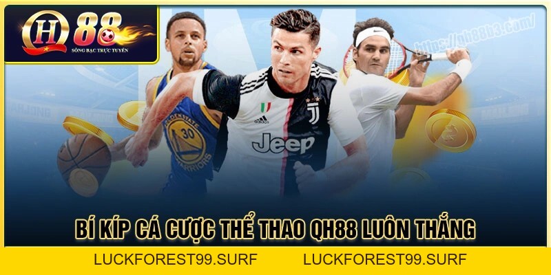 Thể thao QH88 - Sảnh chơi cá độ tỷ lệ kèo cạnh tranh cao - LUCKFOREST99.SURF