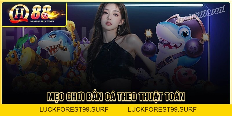 Thuật toán bắn cá online - Cơ chế vận hành game tại QH88 - LUCKFOREST99.SURF
