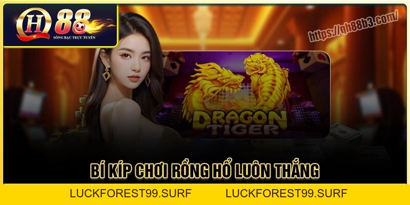 Rồng hổ Qh88 - Game bài đổi thưởng uy tín tại Qh88 - LUCKFOREST99.SURF