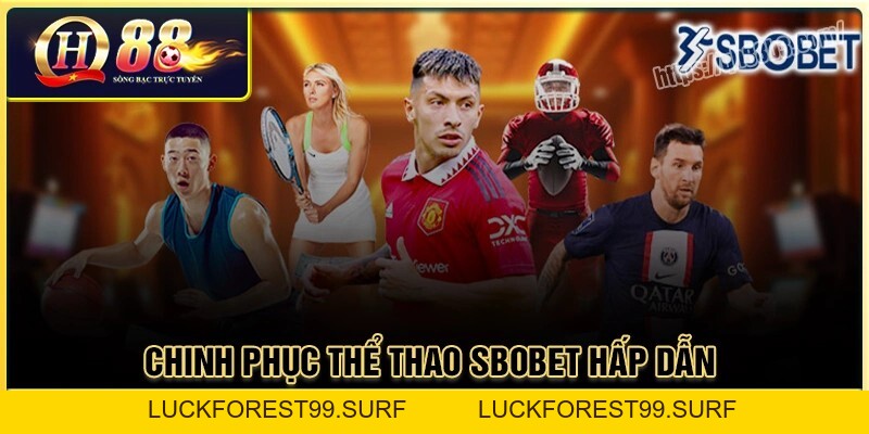 Sbobet Sport - Đặt cược thể thao đa dạng kèo chơi tại QH88 - LUCKFOREST99.SURF