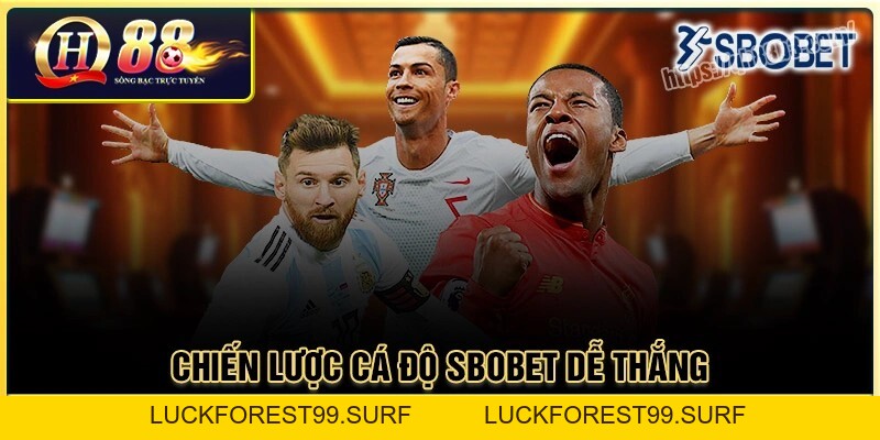 Sbobet Sport - Đặt cược thể thao đa dạng kèo chơi tại QH88 - LUCKFOREST99.SURF