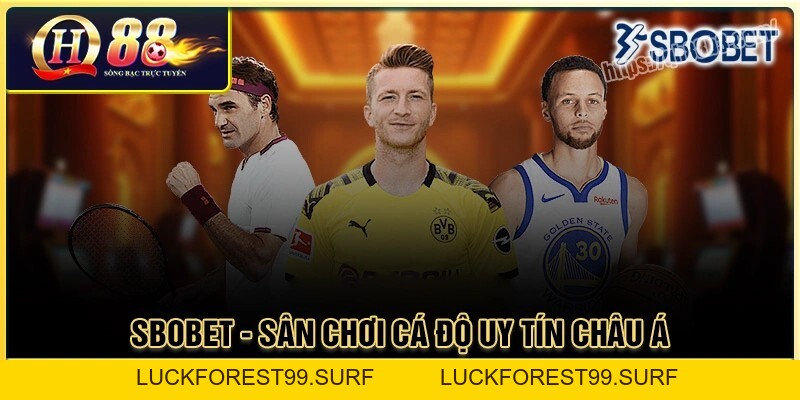 Sbobet Sport - Đặt cược thể thao đa dạng kèo chơi tại QH88 - LUCKFOREST99.SURF