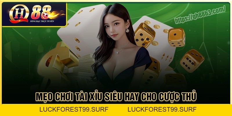 Tài xỉu - Game online hấp dẫn nhất tại Qh88 - LUCKFOREST99.SURF