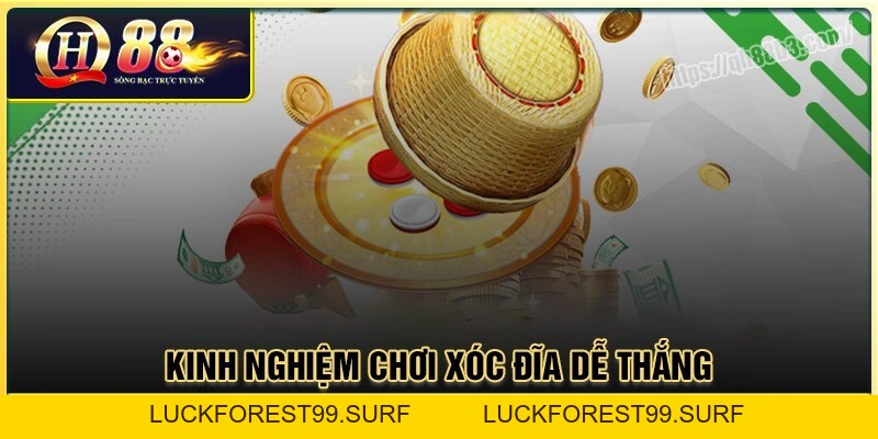 Xóc đĩa - Trải nghiệm game casino hấp dẫn của QH88 - LUCKFOREST99.SURF